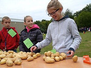 Kartoffelfest 2013
